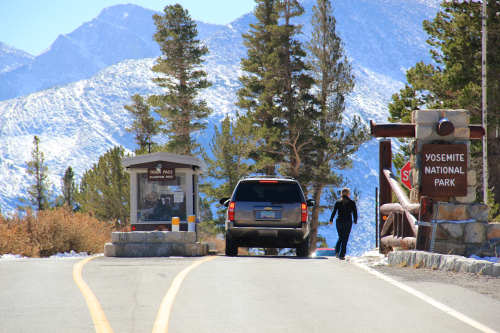 tioga pass 010.png