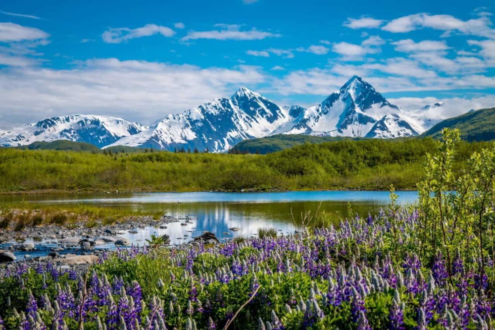 kenai fjords glacier lodge omgeving.jpg