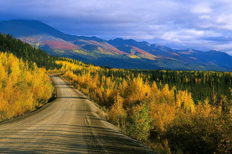 klondike highway.jpg