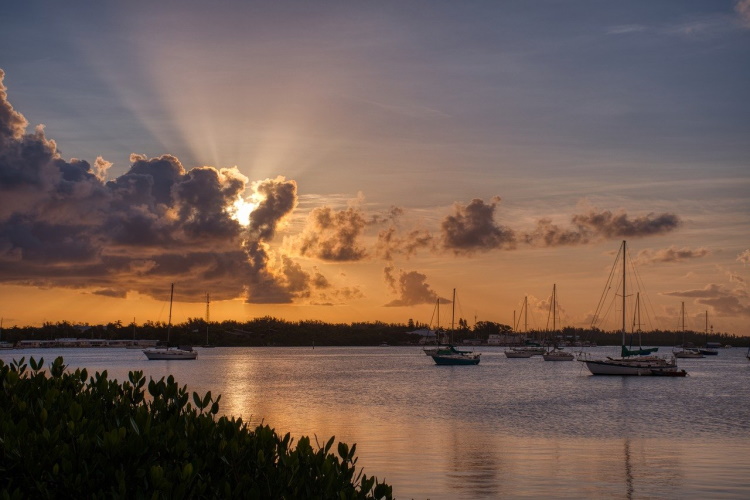 sarasota sunset-4982471_1280.jpg