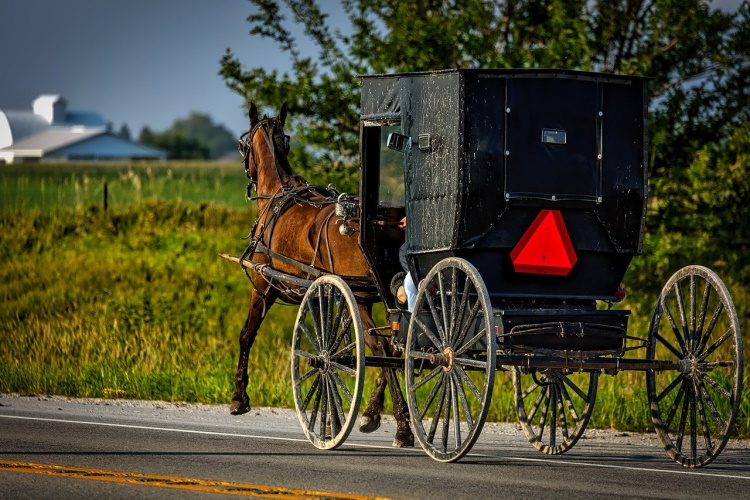 amish country amish-1728517_1280.jpg