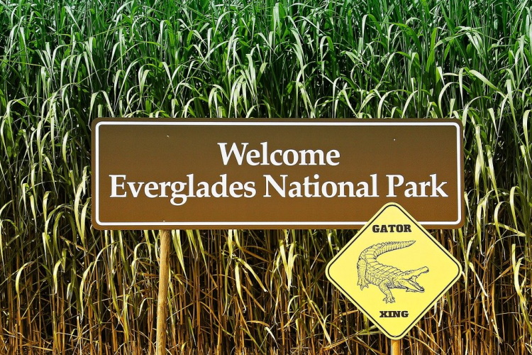 everglades sign-4414120_1280.jpg