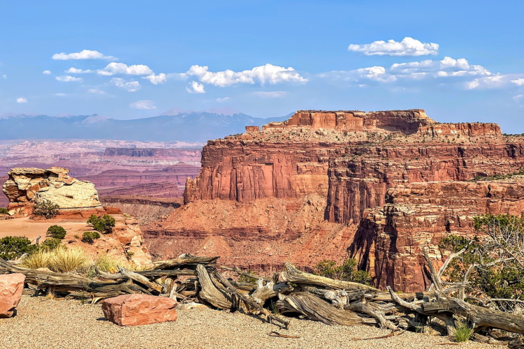 canyonlands national park canyonlands-6600503_1280.jpg