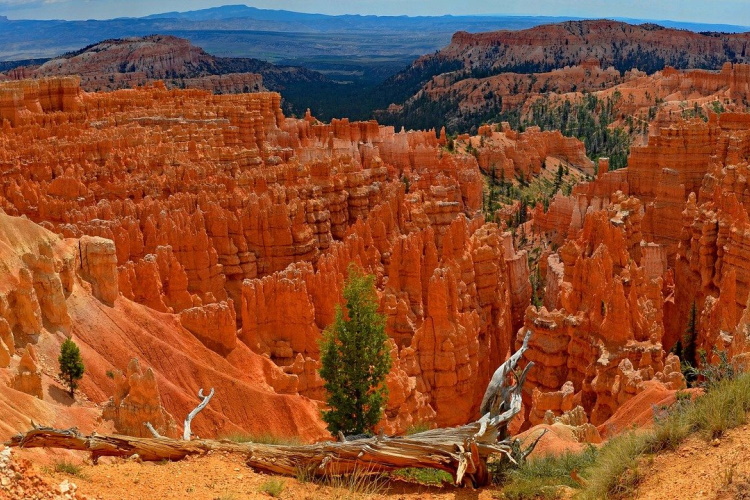 bryce canyon usa-2684014_1280.jpg