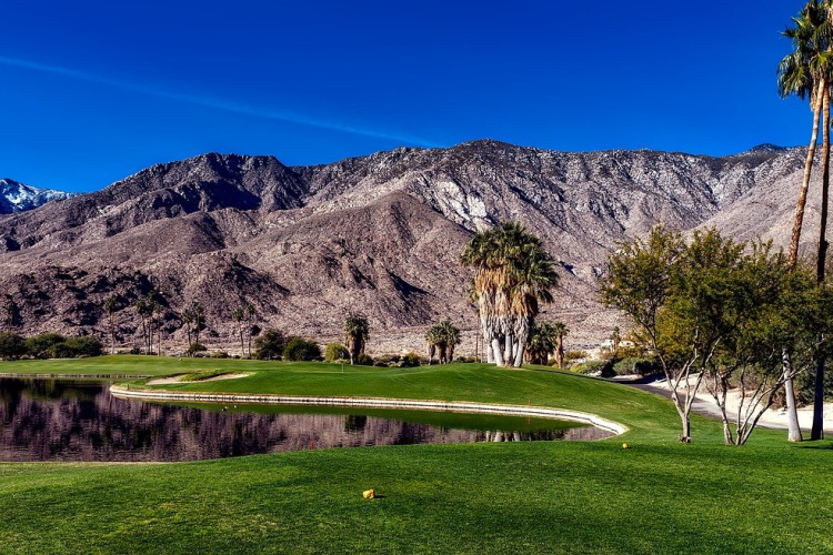 palm springs indian-canyon-golf-resort-1584095_1280.jpg