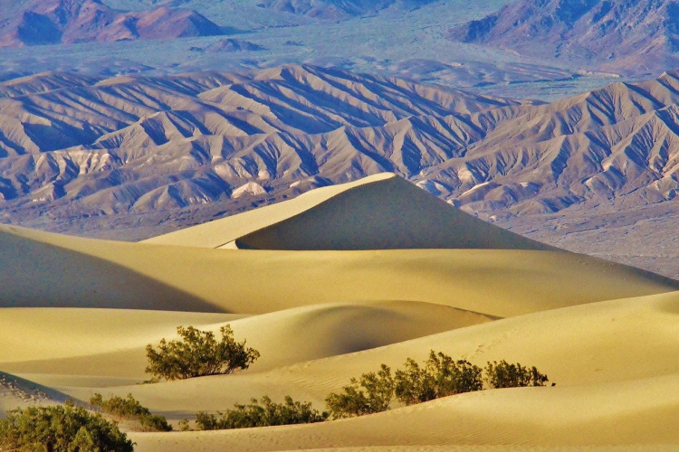 death valley mesquite-flats-gbee9e8ec6_1280.jpg