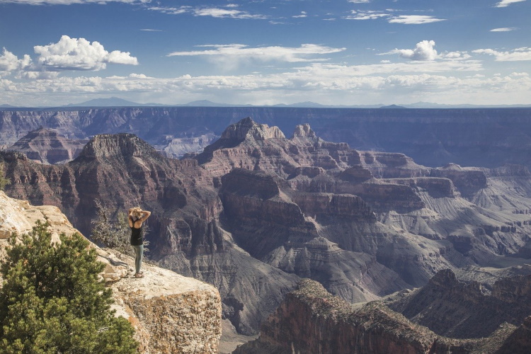 grand canyon -g168edd464_1280.jpg