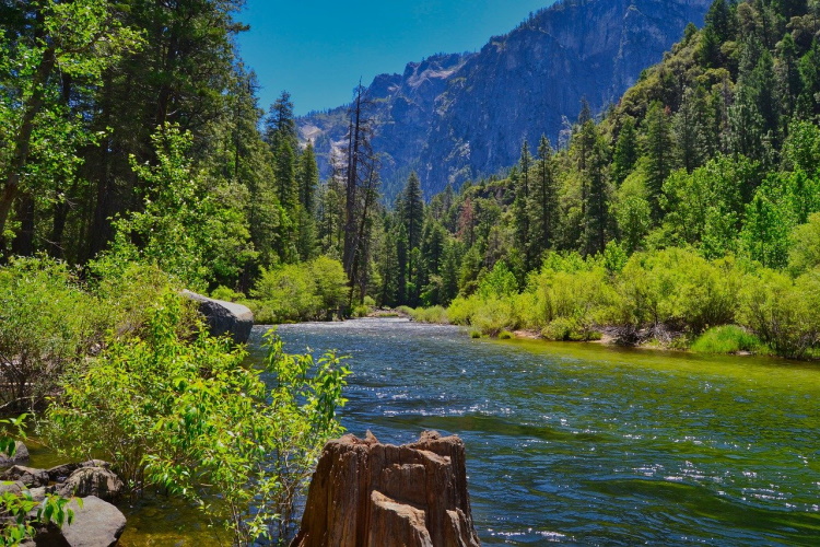 yosemite nature-gd9110766f_1280.jpg