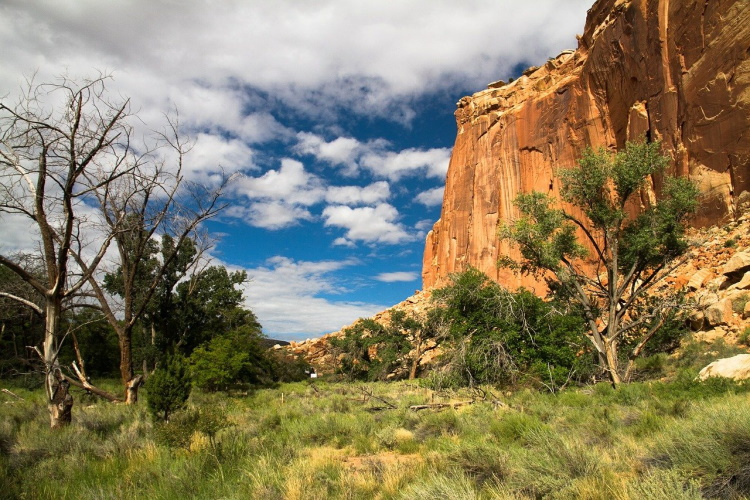 capitol reef 457500_1280-1.jpg