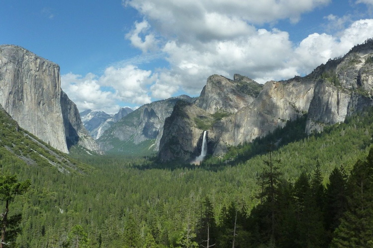 yosemite -national-park-657421_1280.jpg