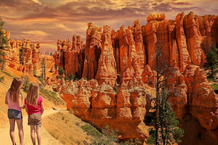 bryce canyon national park 6743142_1280.jpg