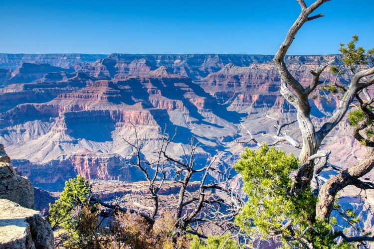 grand canyon 5743720_1280.jpg