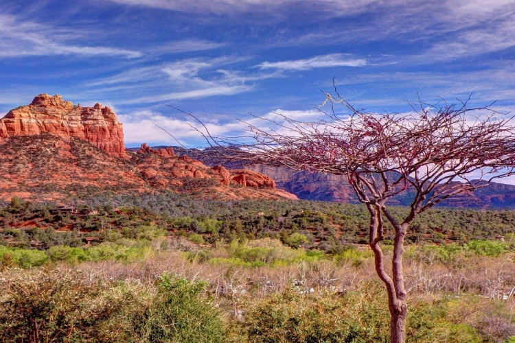 sedona -351686_1280.jpg