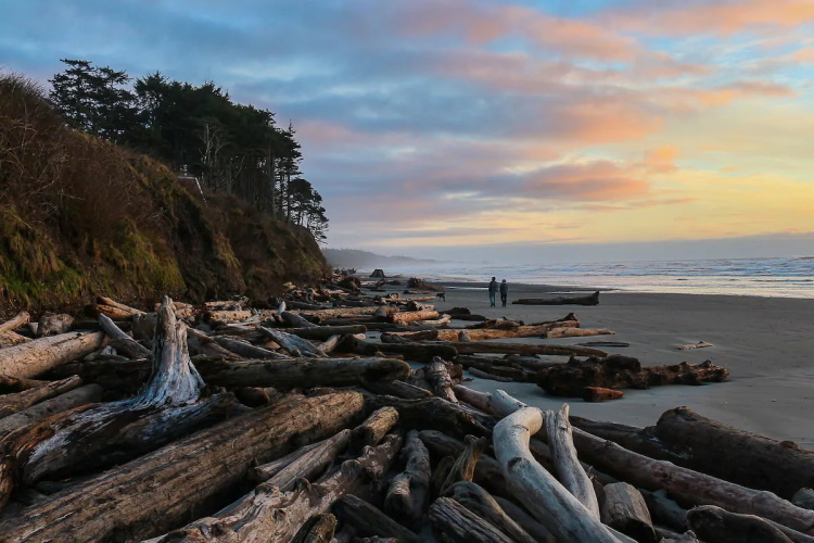 kalaloch lodge strand.jpg