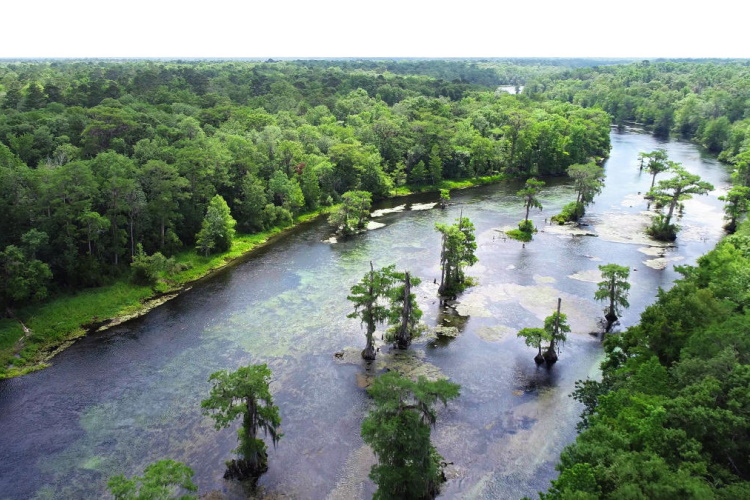 wakulla springs state park 001.jpg