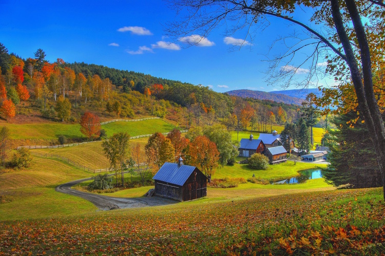 foliage vermont green mountains.jpg