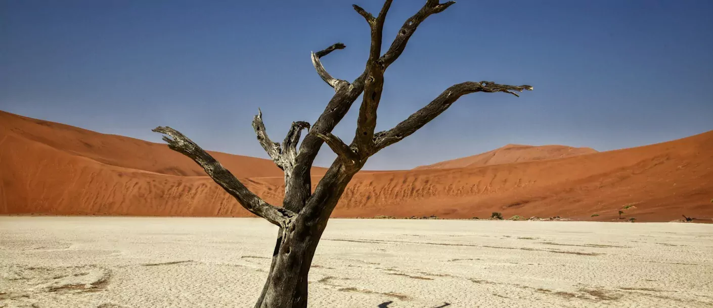 sossusvlei (4).webp