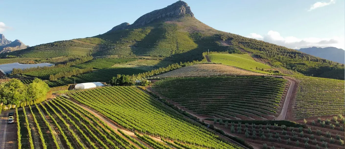 stellenbosch.webp