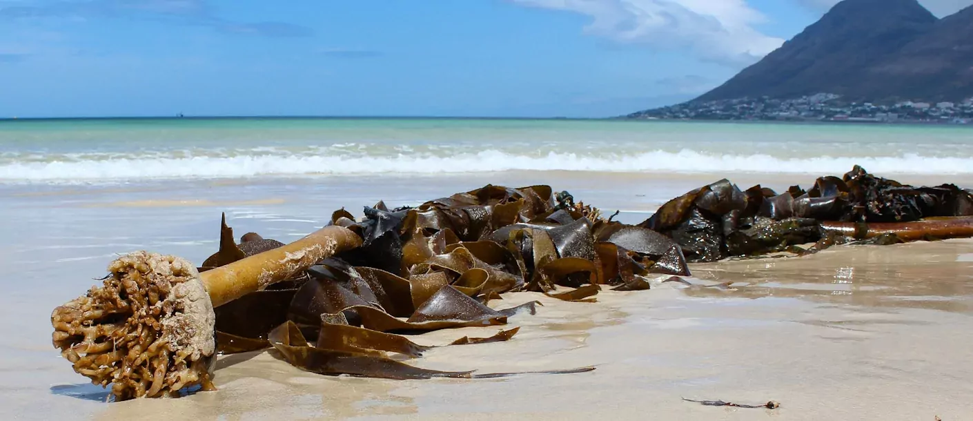 kaap de goede hoop - strand.webp