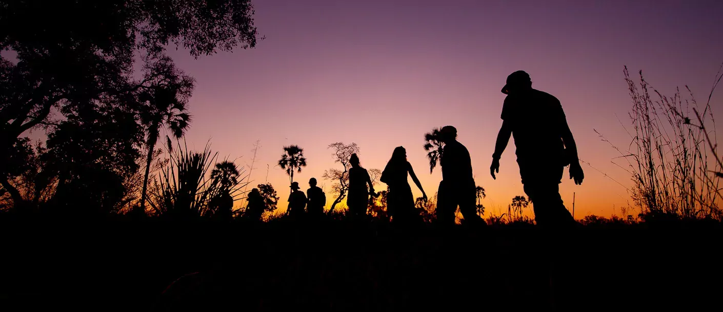 botswana okavango delta wandelen.webp