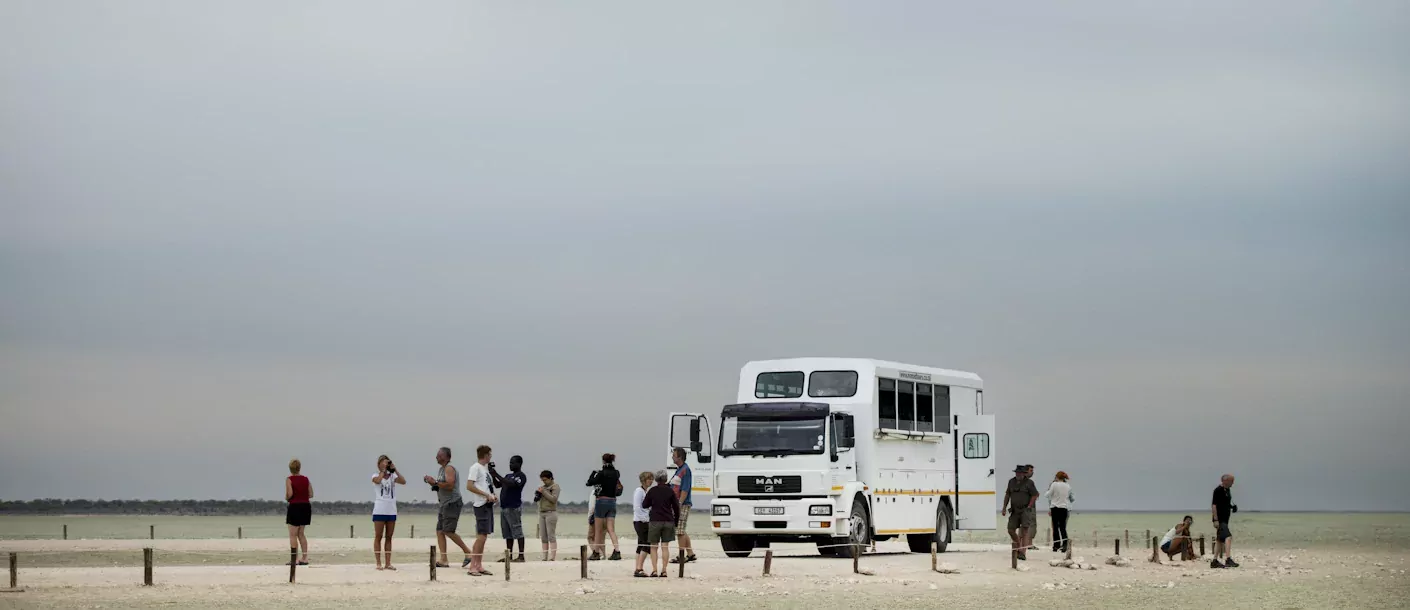 etosha np.webp