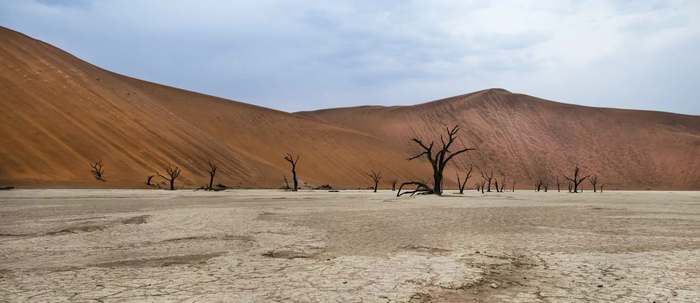 deadvlei.webp