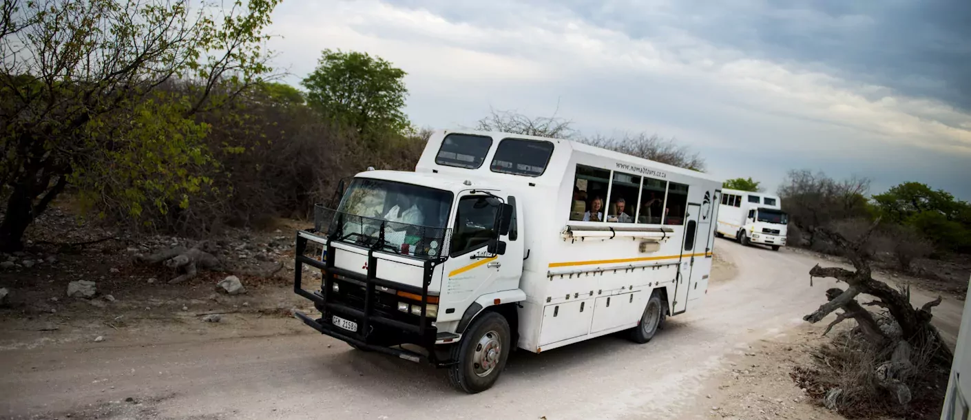 etosha (4).webp