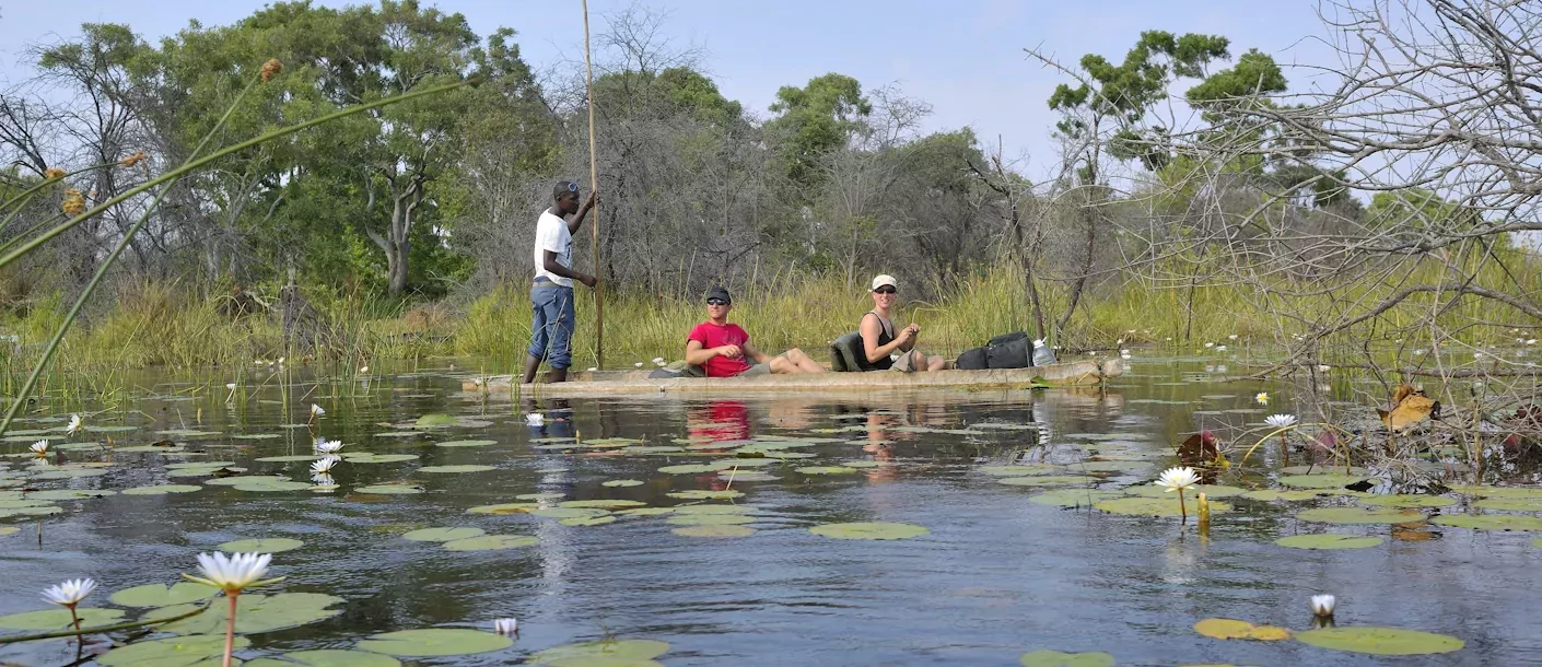 okavango delta (1).webp