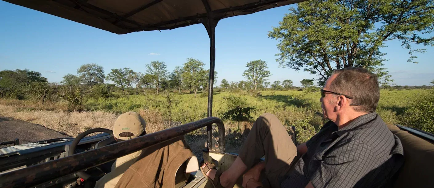 zambia south luangwa.webp