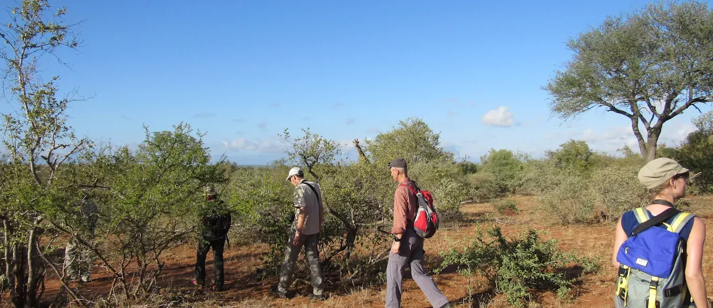 south africa kruger 001.webp