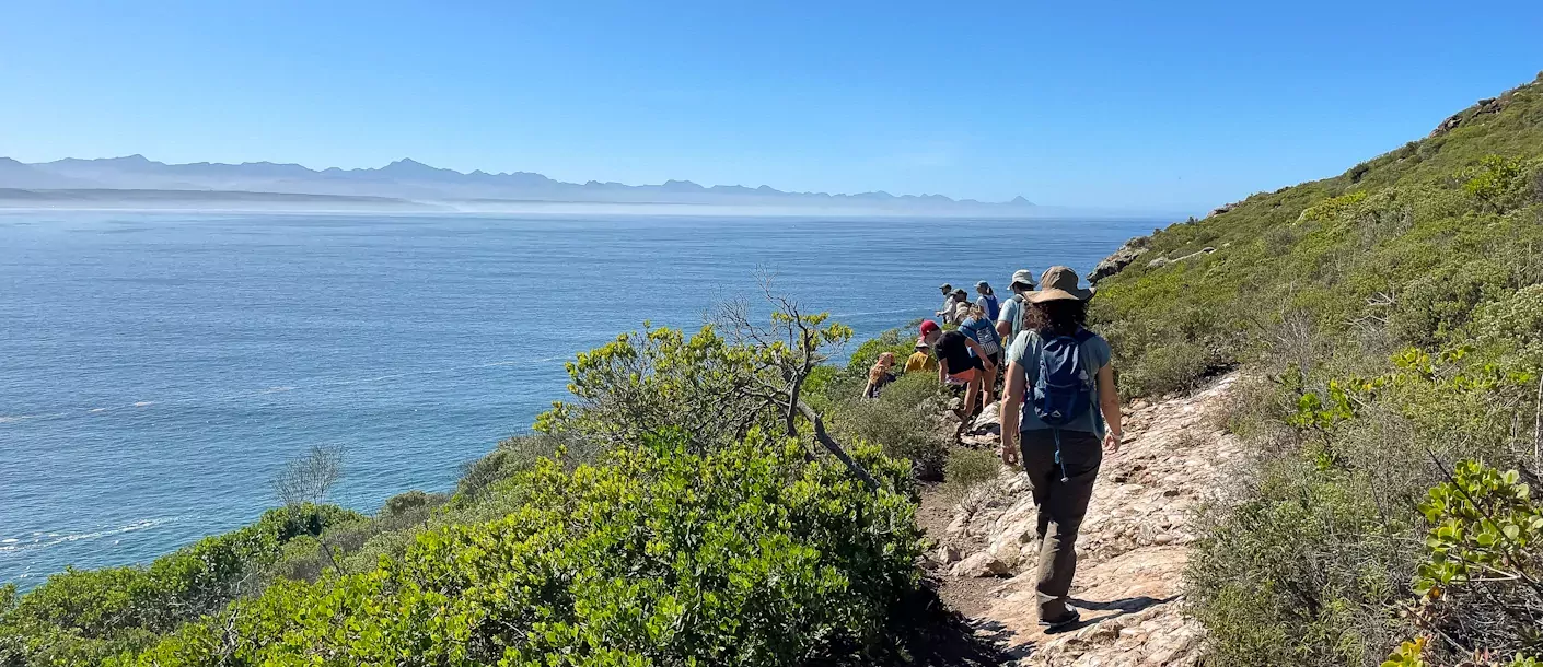 zuid afrika south africa plettenberg bay robberg hike wandeling.webp