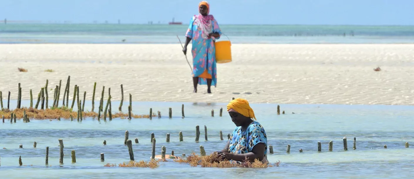 vrouwen op strand zanzibar.webp