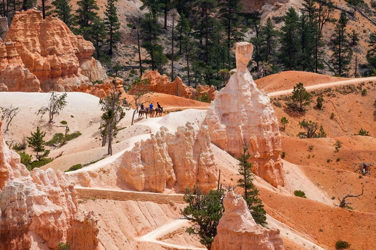 bryce canyon per paard 002.webp