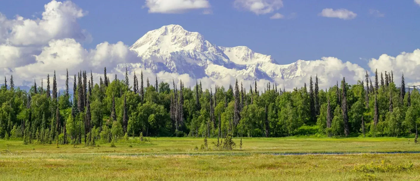 denali national park.webp