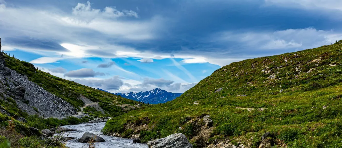 denali national park & preserve, denali park, united states.webp