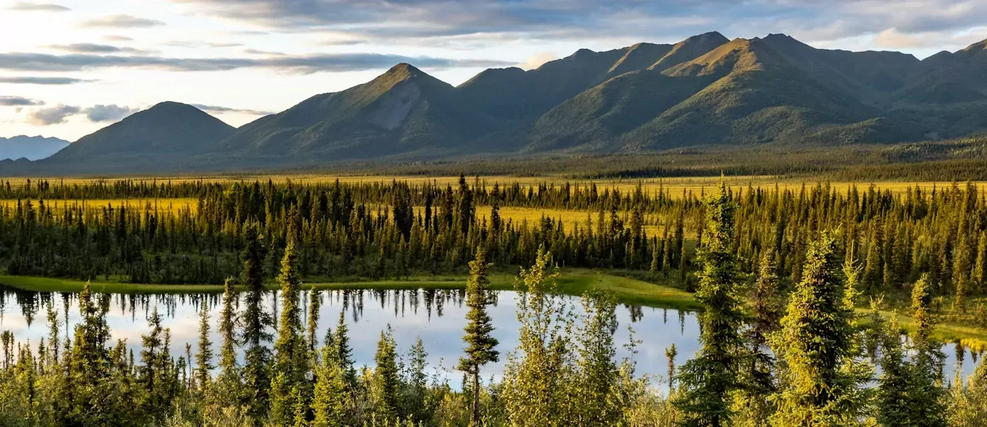 wrangell st elias national park.webp