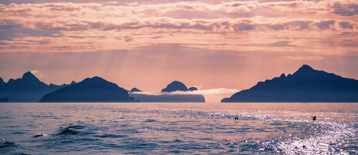 kenai fjords seward (groot).webp