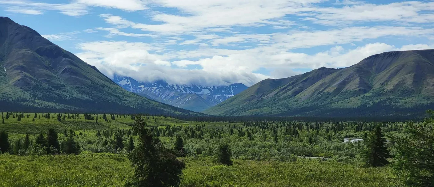 alaska, denali national park and preserve, alaska, usa.webp