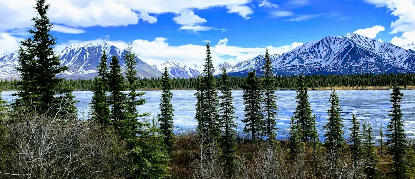 chase trail, talkeetna, united states.webp