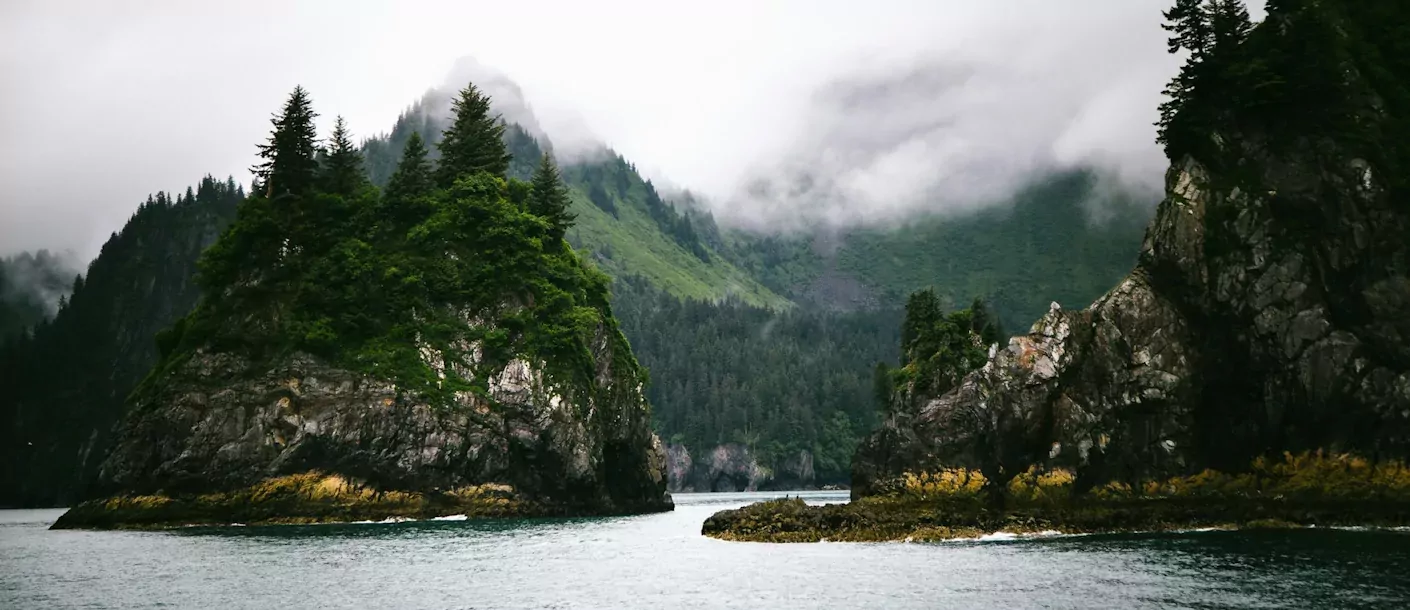 kenai fjords.webp