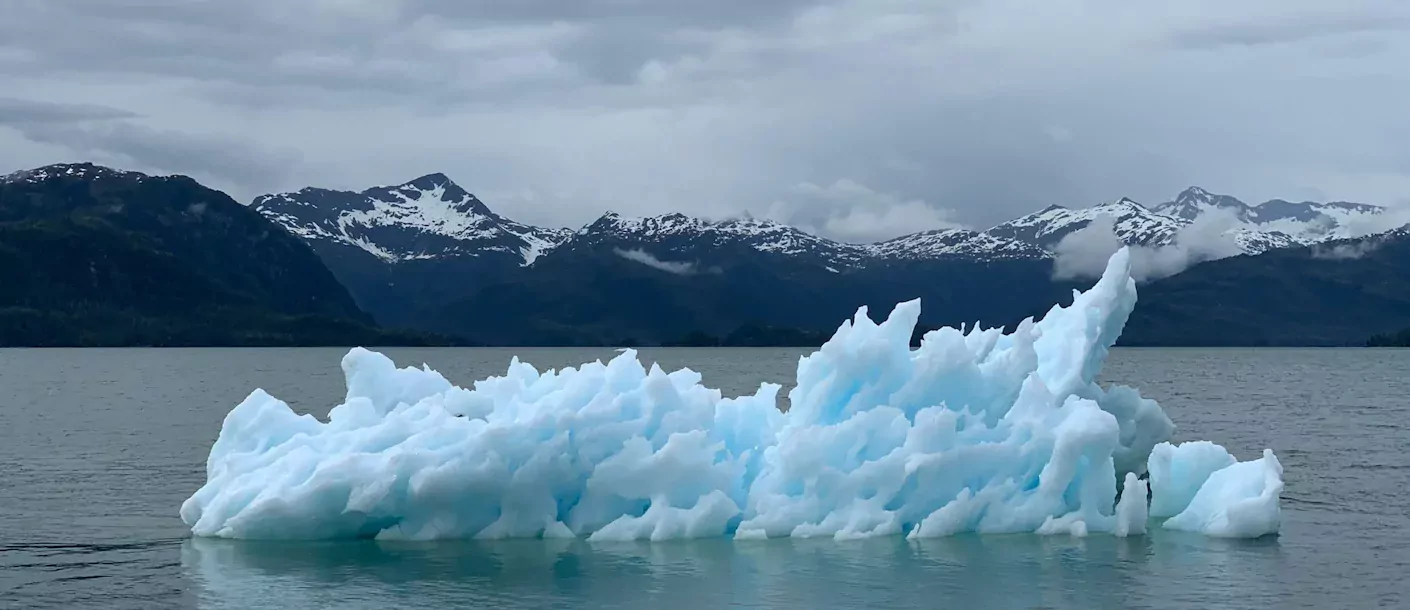 prince william sound, alaska..webp