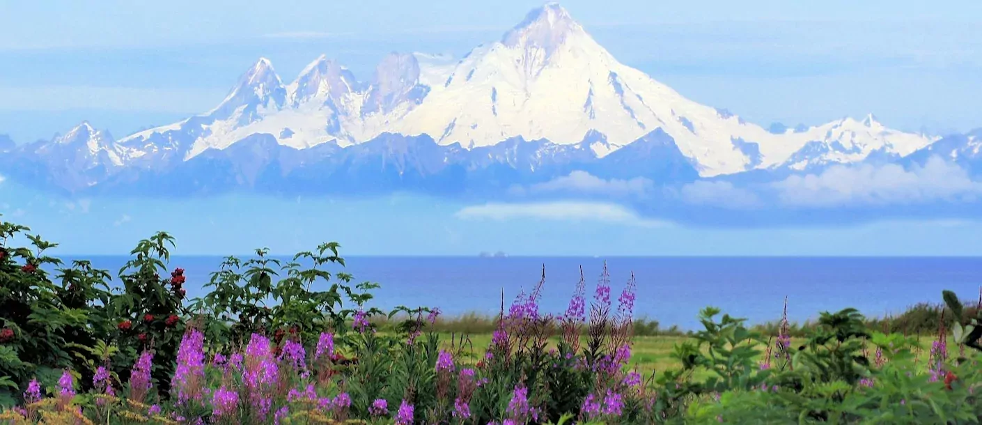 homer alaska uitzicht op mount iliamna.webp