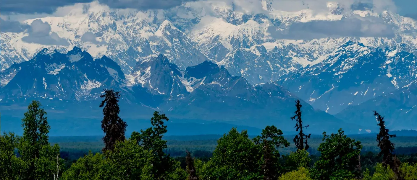 denali national park alaska.webp