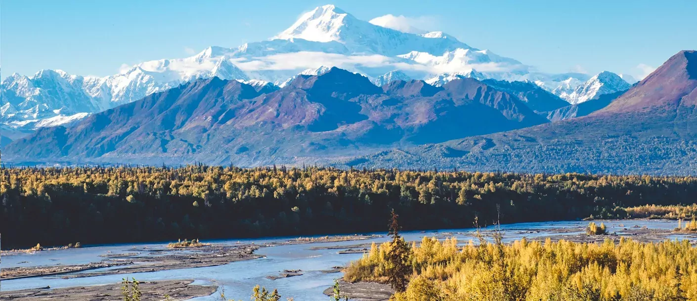 denali national park.webp