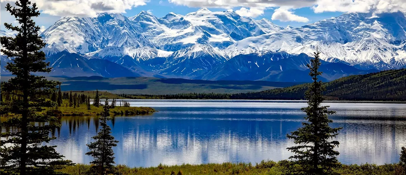 denali national park alaska.webp