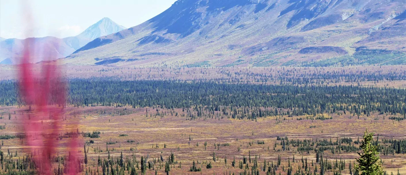 glenn highway, palmer, alaska, verenigde staten.webp