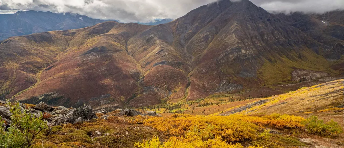 tombstone territorial park, yukon, canada.webp