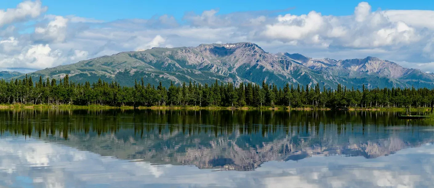 denali national park and preserve, united states.webp