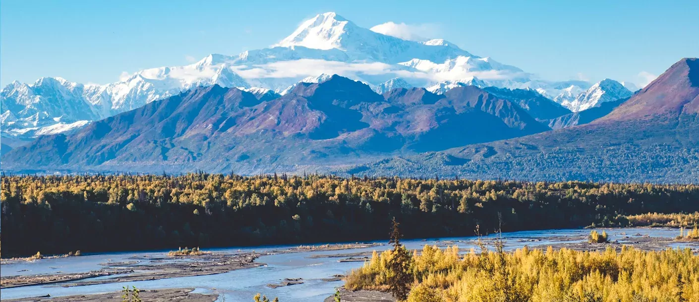 denali national park, alaska.webp