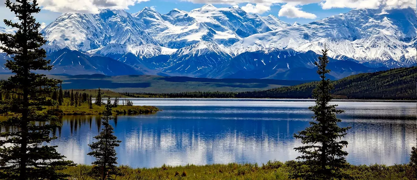 denali national park.webp